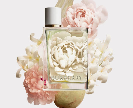 5 Burberry Fragrances You Will Love